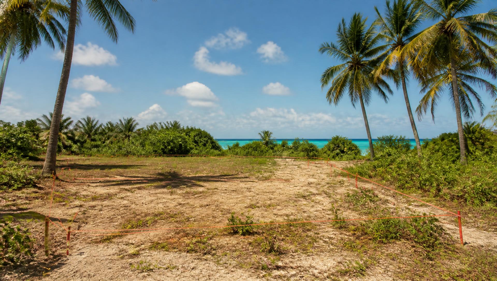 An empty cleared coastal plot in Zanzibar marked with red survey pegs